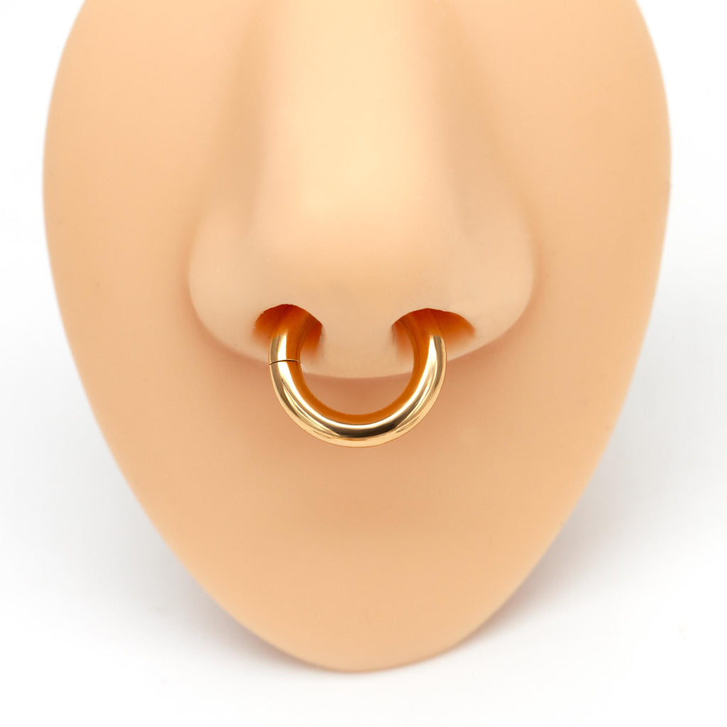 4g/6g/8g/10g/12g Implant Grade Titanium Large Gauge Segment Clicker Hinged Ring/Septum Stretching Kit Piercing/Hoop Earring Hanger