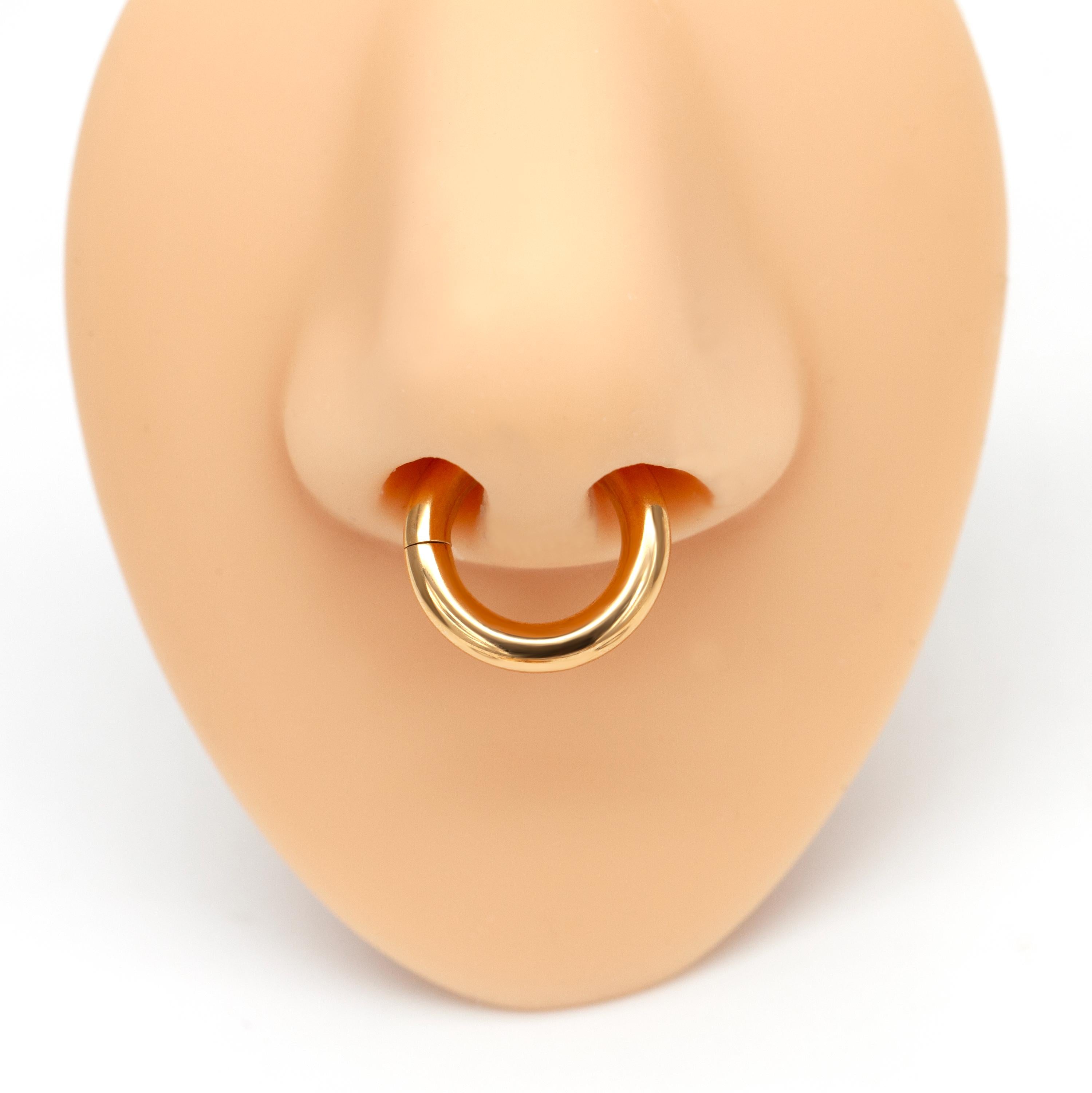 4g/6g/8g/10g/12g Implant Grade Titanium Large Gauge Segment Clicker Hinged Ring/Septum Stretching Kit Piercing/Hoop Earring Hanger