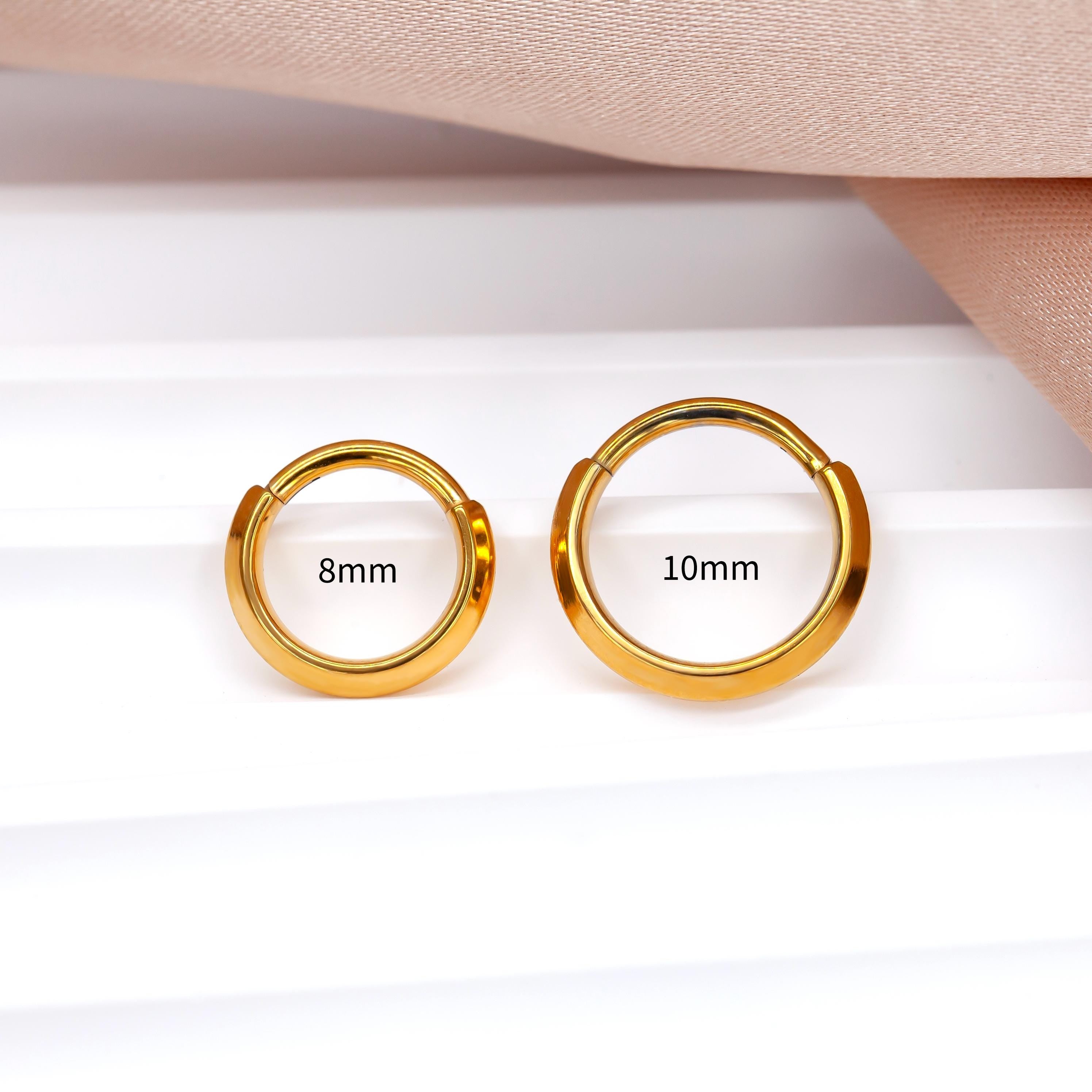 16G Implant Grade Titanium Dainty Hinged Clicker Ring /Nose Ring/Septum Clicker Ring/Daith Hoop/Helix/Tragus/Rook/Lobe/Unique Gift 8mm 10mm