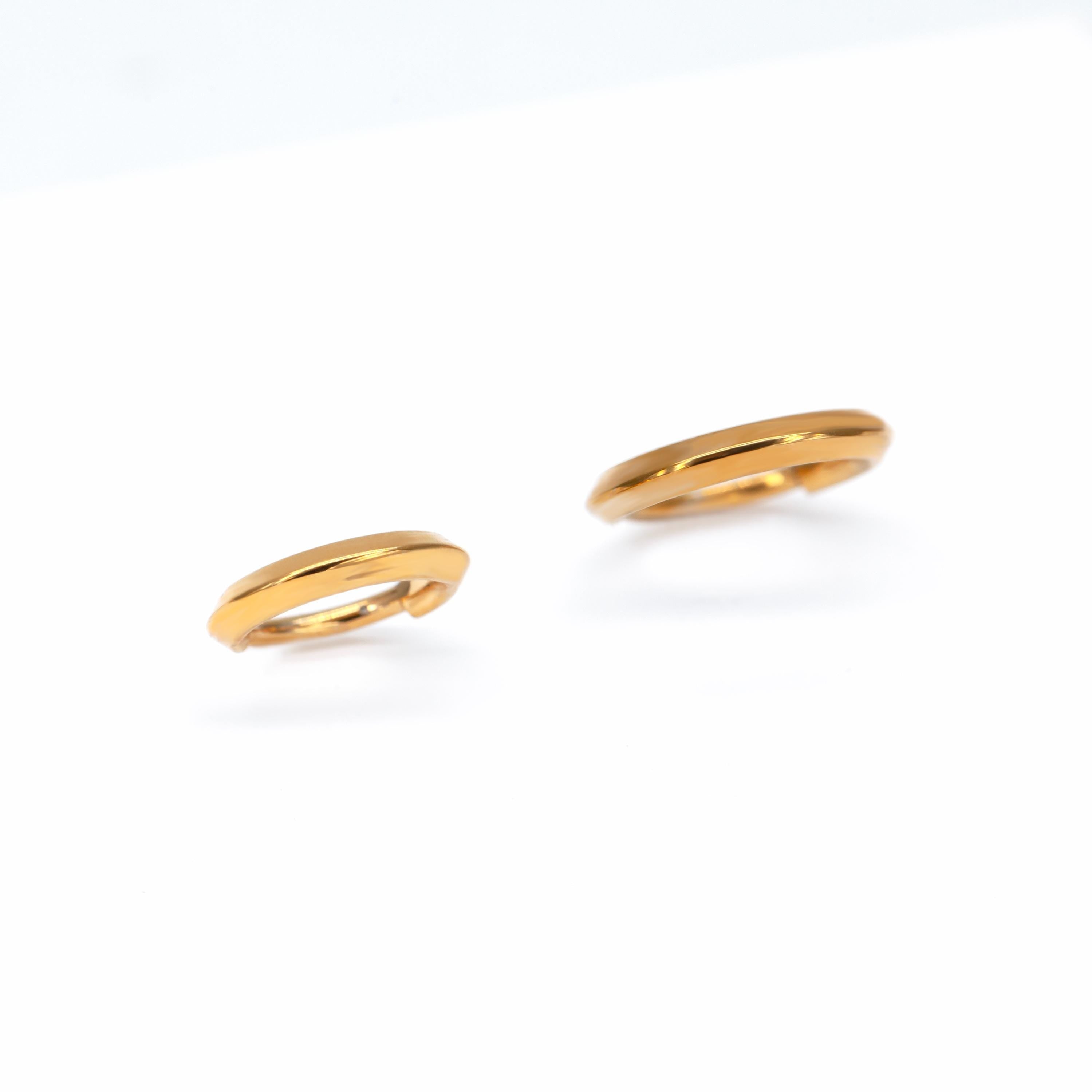 16G Implant Grade Titanium Dainty Hinged Clicker Ring /Nose Ring/Septum Clicker Ring/Daith Hoop/Helix/Tragus/Rook/Lobe/Unique Gift 8mm 10mm