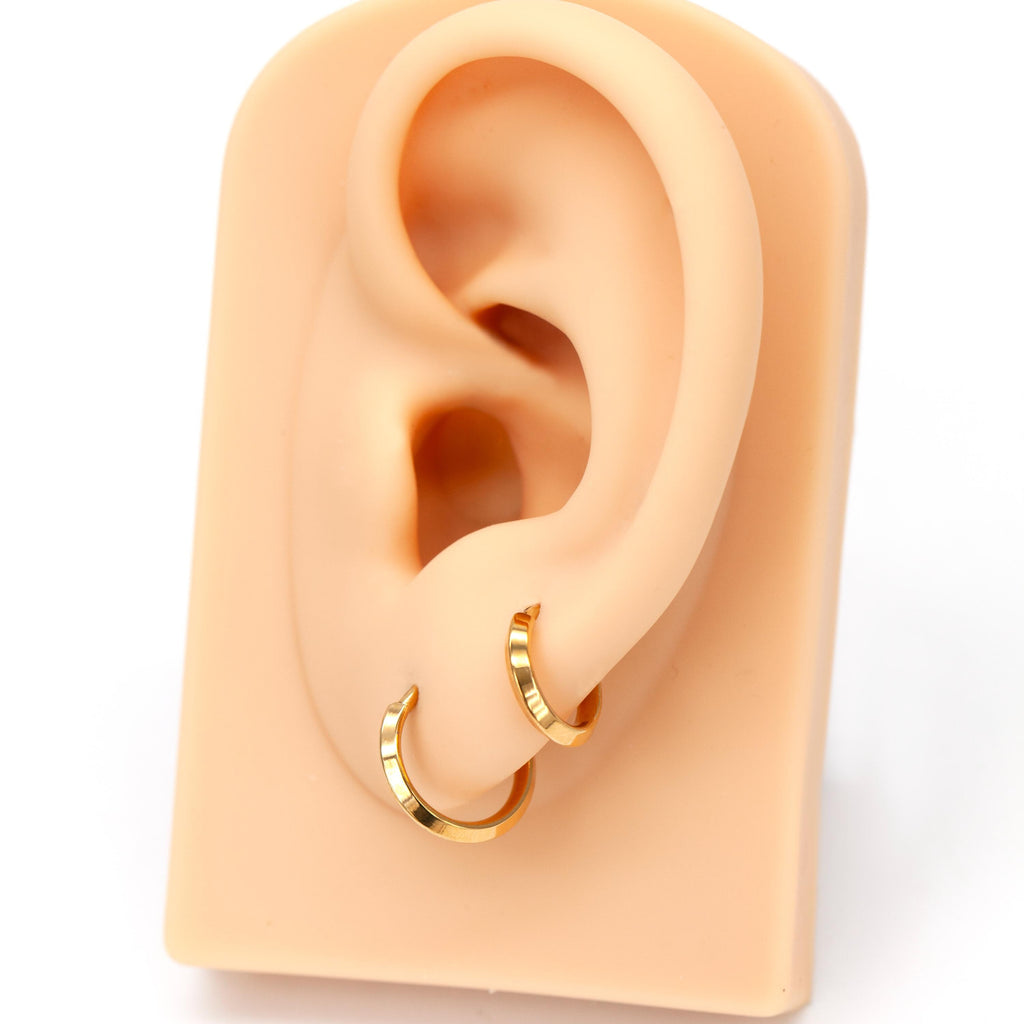 16G Implant Grade Titanium Dainty Hinged Clicker Ring /Nose Ring/Septum Clicker Ring/Daith Hoop/Helix/Tragus/Rook/Lobe/Unique Gift 8mm 10mm