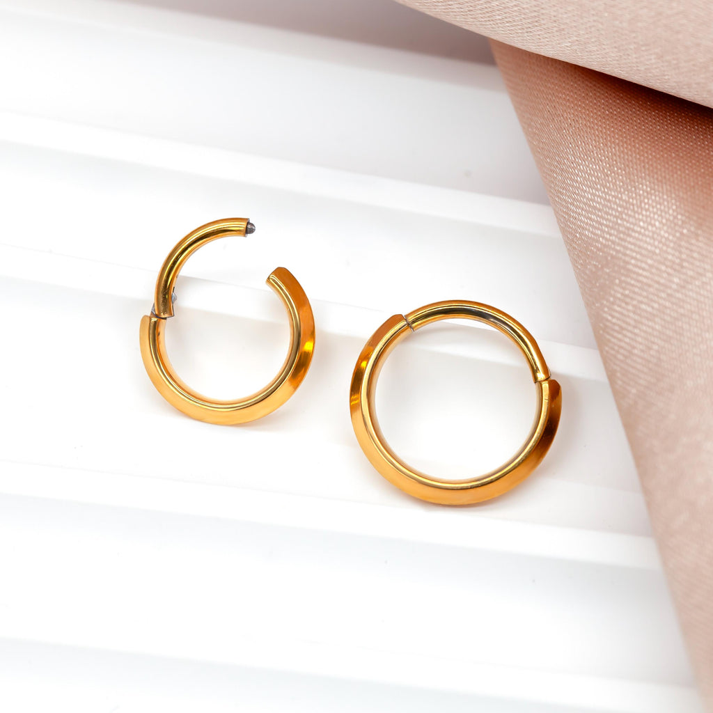 16G Implant Grade Titanium Dainty Hinged Clicker Ring /Nose Ring/Septum Clicker Ring/Daith Hoop/Helix/Tragus/Rook/Lobe/Unique Gift 8mm 10mm