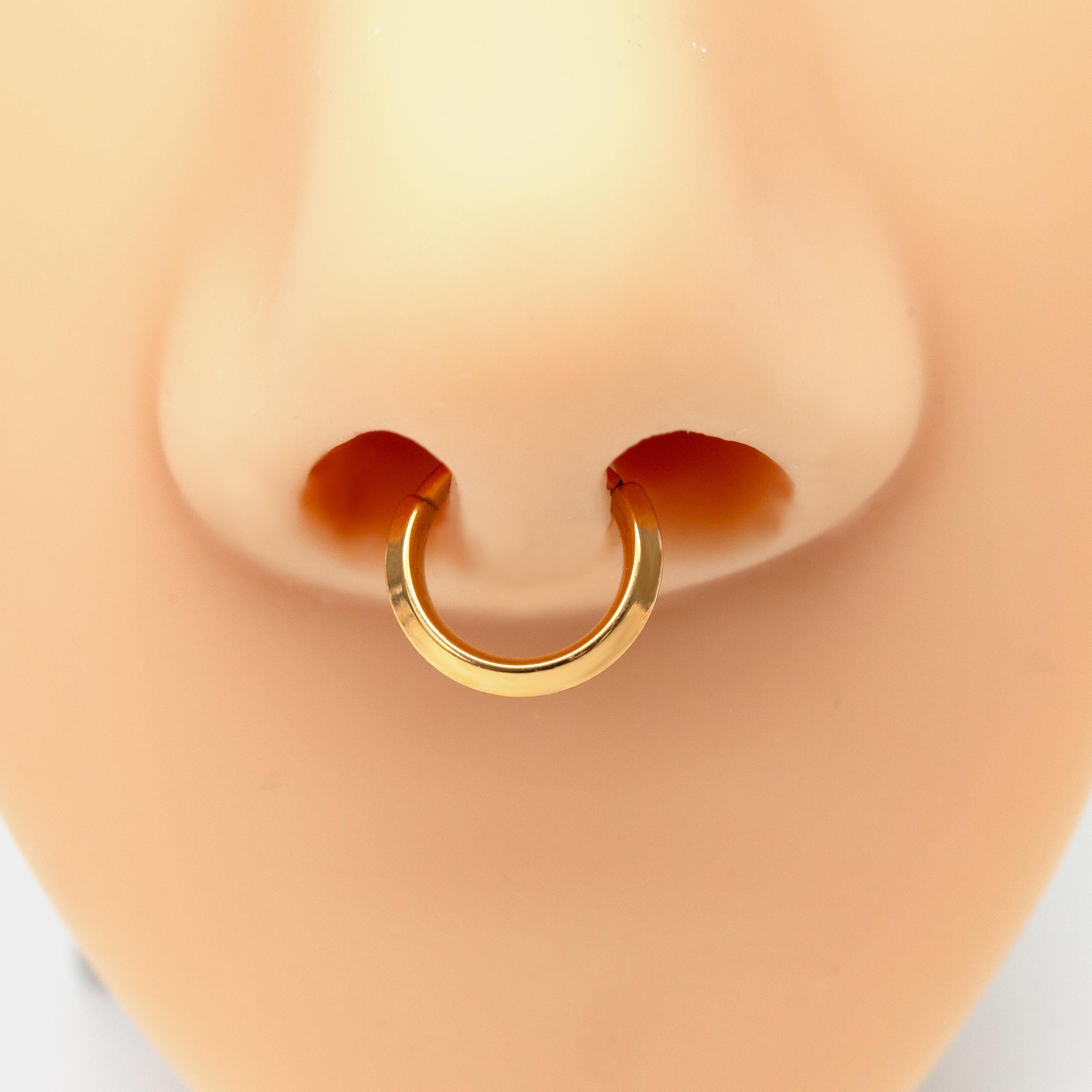 16G Implant Grade Titanium Dainty Hinged Clicker Ring /Nose Ring/Septum Clicker Ring/Daith Hoop/Helix/Tragus/Rook/Lobe/Unique Gift 8mm 10mm
