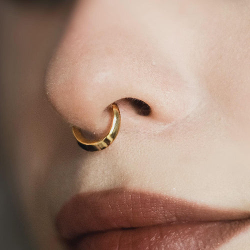 16G Implant Grade Titanium Dainty Hinged Clicker Ring /Nose Ring/Septum Clicker Ring/Daith Hoop/Helix/Tragus/Rook/Lobe/Unique Gift 8mm 10mm